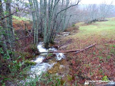 Valle del Ambroz-Sierra de Bejar - Gredos; fotos senderismo; grupos de montaña madrid; senderismo